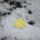 Sternensuche Kindergarten 041_JPG-1293569979.jpg