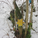 Sternensuche Kindergarten 039_JPG-1293569929.jpg
