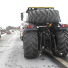 28122010bulldoga8rxaktivnews_20_4_.jpg