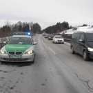 28122010bulldoga8rxaktivnews_20_5_.jpg