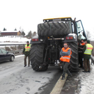 28122010bulldoga8rxaktivnews_20_6_.jpg