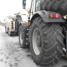 28122010bulldoga8rxaktivnews_20_7_.jpg