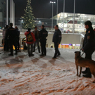 normal_28122010randalelinzthaktivnews005.jpg