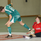 langenegg titel_jpg-1293623464
