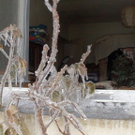 normal_27122010branduusaaktivnews003.jpg
