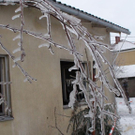 normal_27122010branduusaaktivnews006.jpg