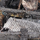 normal_27122010branduusaaktivnews012.jpg