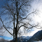 BK_Winterfreuden Gurtis 37_jpg-1293632177