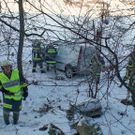 normal_29122010wildvusaaktivnews002.jpg