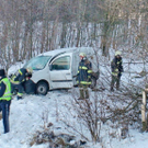 normal_29122010wildvusaaktivnews003.jpg