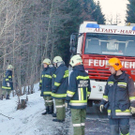 normal_29122010wildvusaaktivnews004.jpg