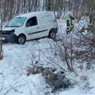 normal_29122010wildvusaaktivnews008.jpg