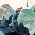 normal_29122010wildvusaaktivnews018.jpg