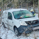 normal_29122010wildvusaaktivnews021.jpg