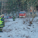 normal_29122010wildvusaaktivnews022.jpg