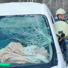 normal_29122010wildvusaaktivnews024.jpg