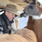 Lama-Trekking mit Lamero