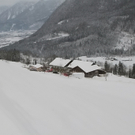 29122010forstffaktivnews_01.jpg