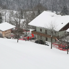 29122010forstffaktivnews_04.jpg
