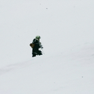 29122010forstffaktivnews_70.jpg