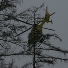 29122010forstffaktivnews_72.jpg
