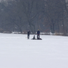 29122010lepiweiherfmaktivnews_02.jpg