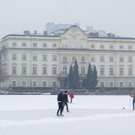 29122010lepiweiherfmaktivnews_05.jpg