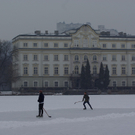 29122010lepiweiherfmaktivnews_07.jpg