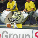 108_4703_jpg-1293663273