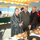 DSC_0037.jpg