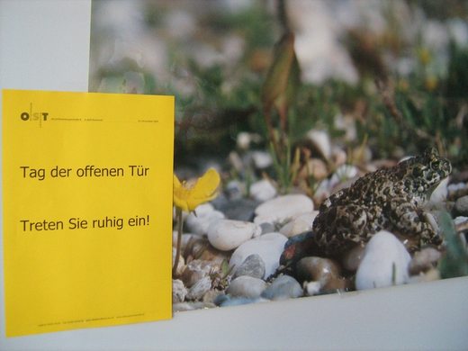 BK_251109 Elternschnuppertag VMSROS 020.jpg