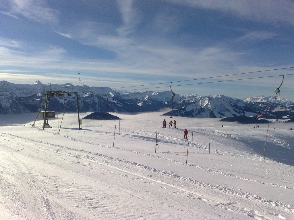 301220101017_jpg-1293731224