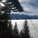 301220101018_jpg-1293731271