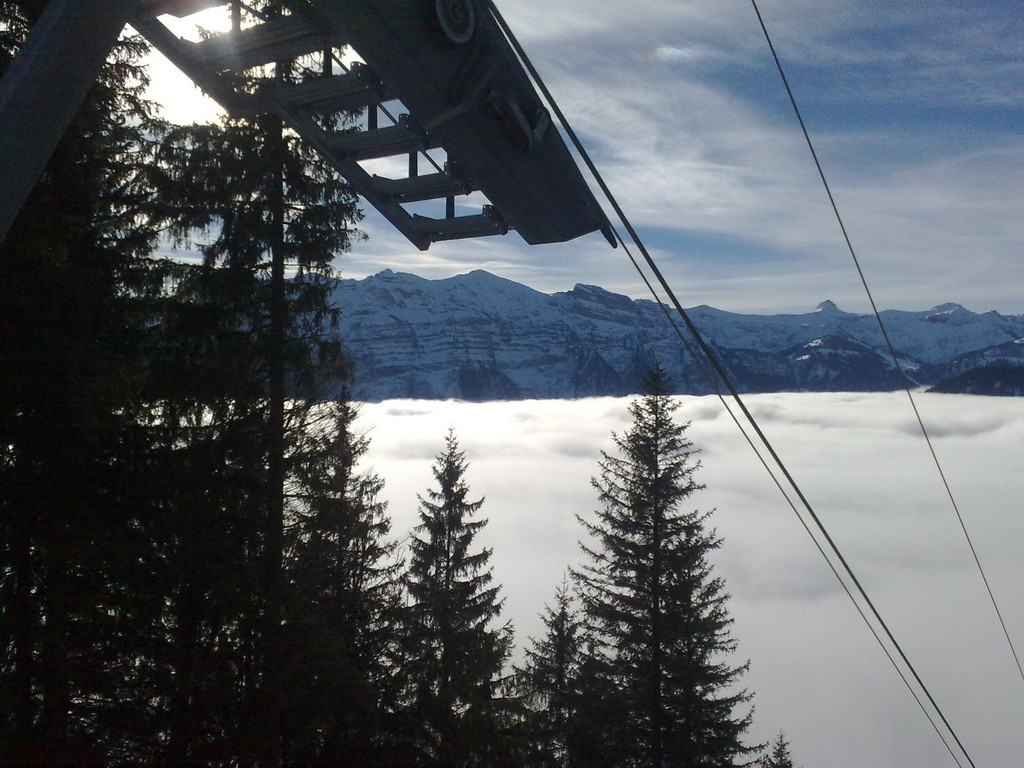 301220101018_jpg-1293731271