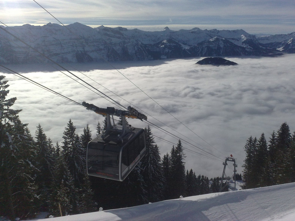 301220101019_jpg-1293731311