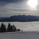 301220101023_jpg-1293731417