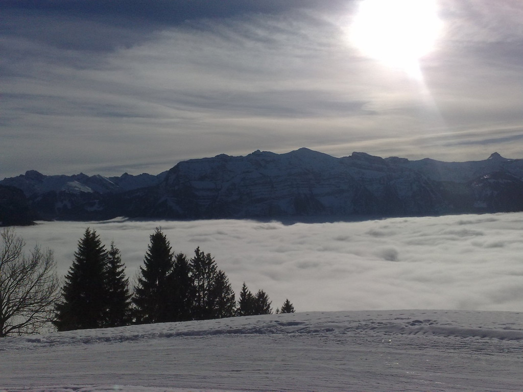 301220101023_jpg-1293731417