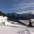 301220101024_jpg-1293731458