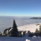 301220101027_jpg-1293731545