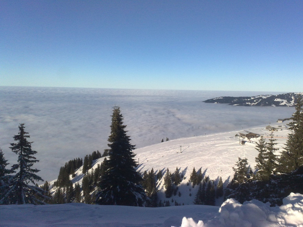 301220101027_jpg-1293731545