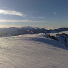 301220101029_jpg-1293731586