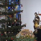 011_bearbeitet-1_jpg-1293788030