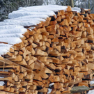 Brennholz