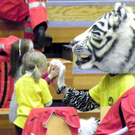 108_5064_jpg-1293800876