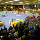 108_5043_jpg-1293800993