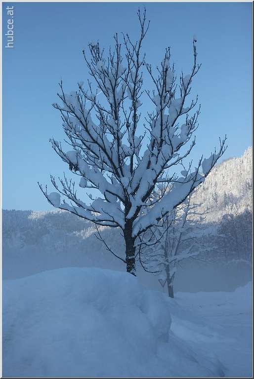 Bild -0447.jpg