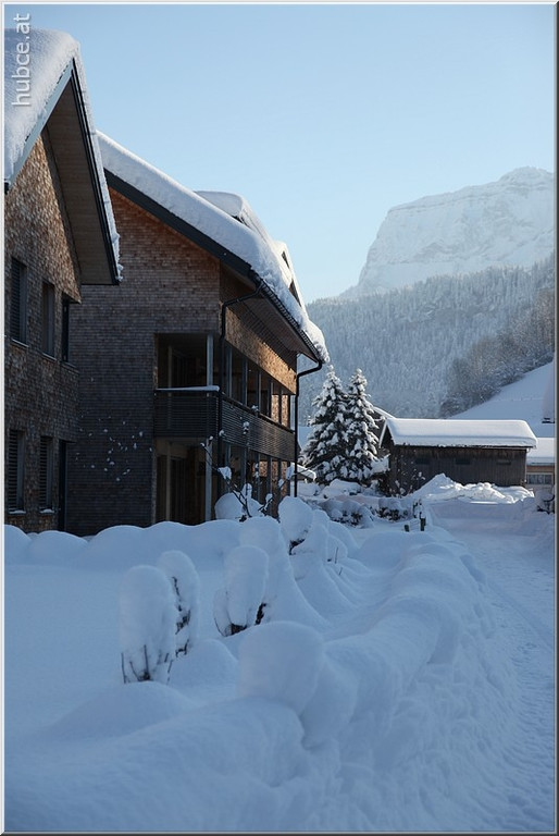 Bild -0453.jpg
