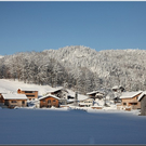 Bild -0459.jpg
