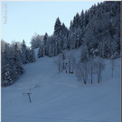 Bild -0460.jpg