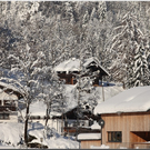 Bild -0462.jpg